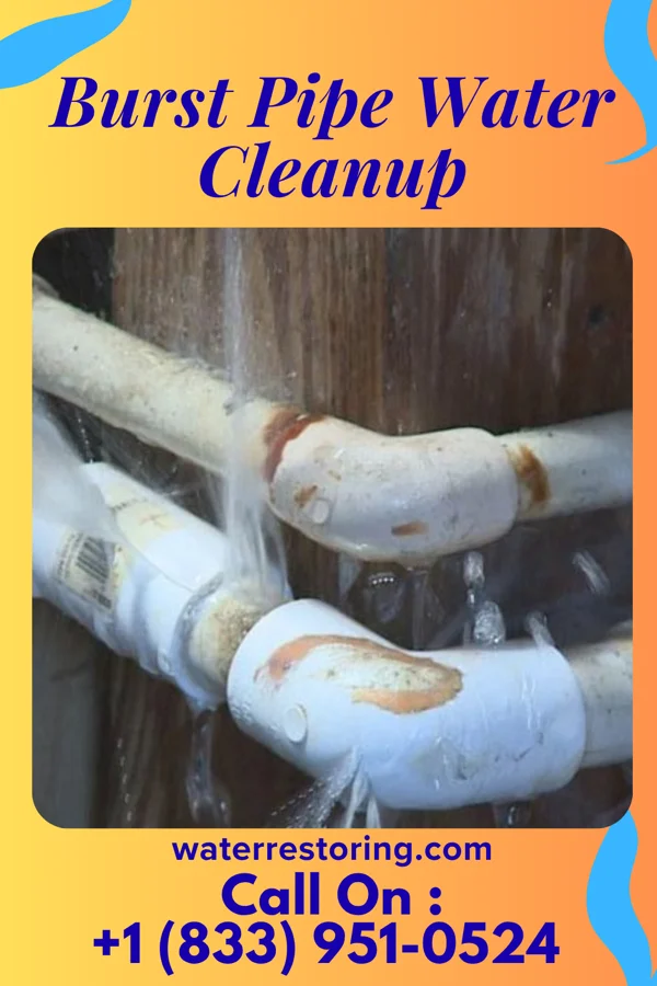Burst Pipe Water Cleanup in Smethport, PA