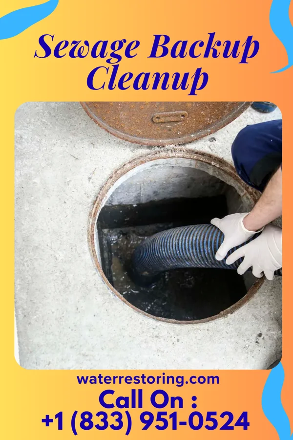 Sewage Backup Cleanup in Smethport, PA