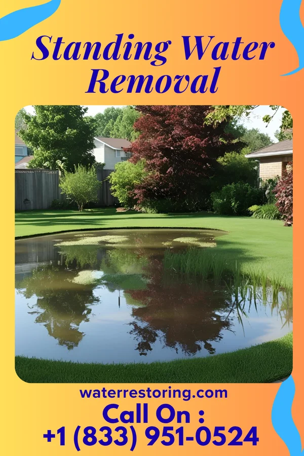 Standing Water Removal in Smethport, PA